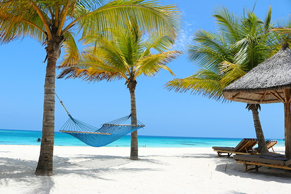 Wycieczka na Zanzibar Wycieczka na Zanzibar