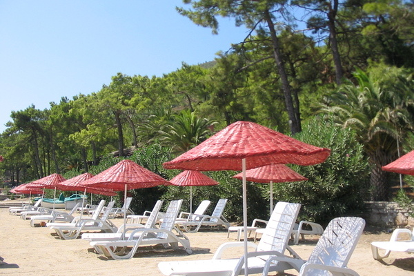 turkey.july2.jpeg